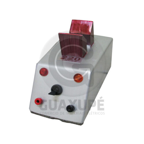 TESTE INDUZIDO (TATU 220V)